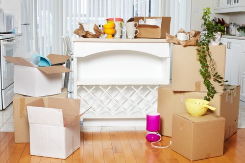 Man and van recycling service in Roehampton with sorted reusable household items