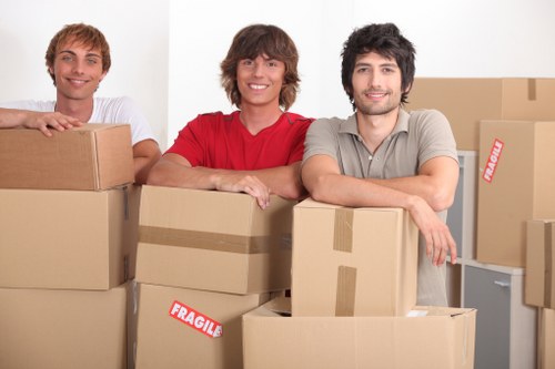 Moving van for flats, houses, and offices in Roehampton